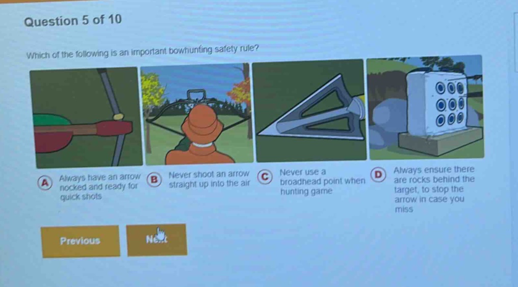 question 5 of 10\nwhich of the following is an important bowhunting safety rule?\na always have an arrow nocked and ready for quick shots\nb never shoot an arrow straight up into the air\nc never use a broadhead point when hunting game\nd always ensure there are rocks behind the target, to stop the arrow in case you miss\nprevious next