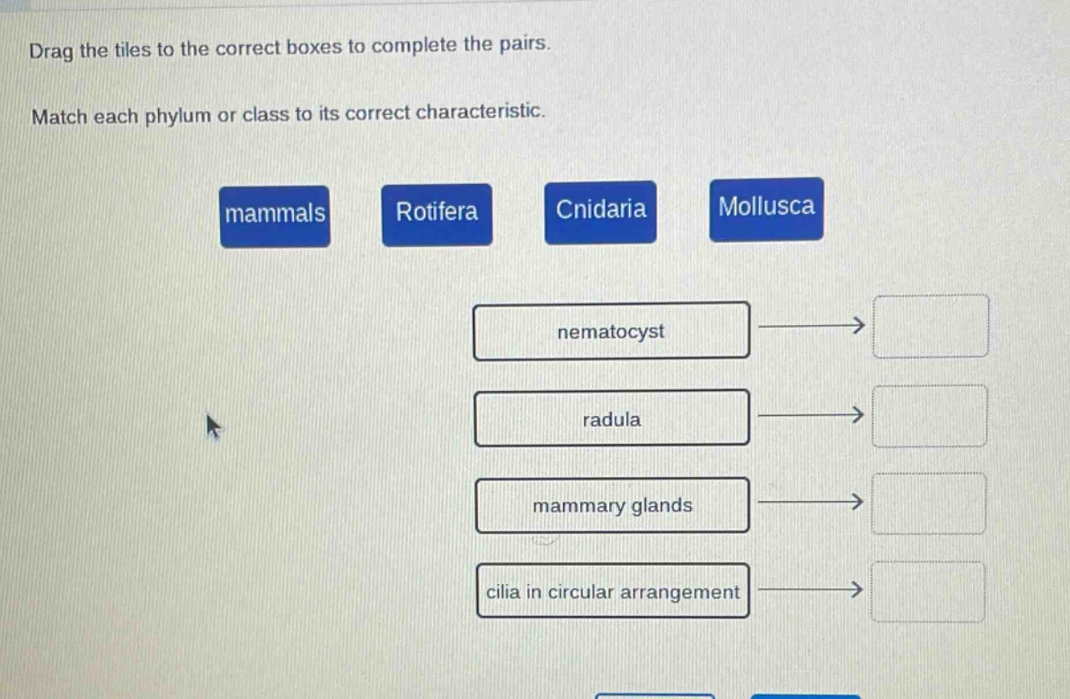 drag the tiles to the correct boxes to complete the pairs. match each phylum or class to its correct characteristic. mammals rotifera cnidaria mollusca nematocyst radula mammary glands cilia in circular arrangement