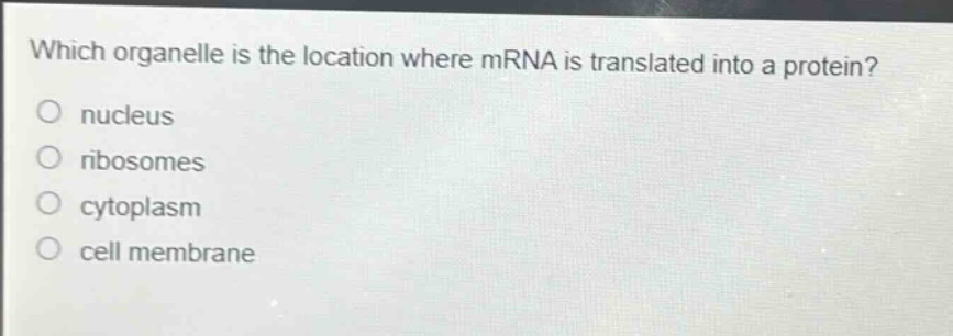 which organelle is the location where mrna is translated into a protein?\no nucleus\no ribosomes\no cytoplasm\no cell membrane