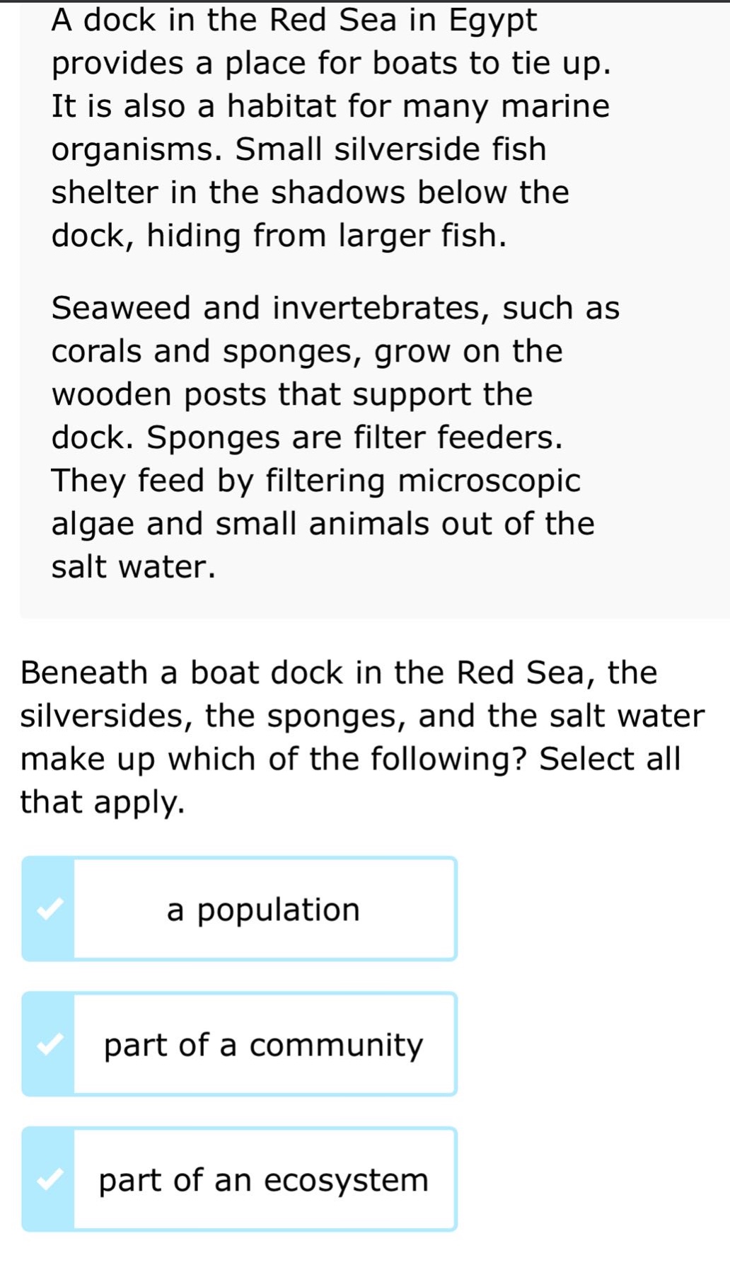a dock in the red sea in egypt provides a place for boats to tie up. it is also a habitat for many marine organisms. small silverside fish shelter in the shadows below the dock, hiding from larger fish. seaweed and invertebrates, such as corals and sponges, grow on the wooden posts that support the dock. sponges are filter feeders. they feed by filtering microscopic algae and small animals out of the salt water. beneath a boat dock in the red sea, the silversides, the sponges, and the salt water make up which of the following? select all that apply. a population part of a community part of an ecosystem