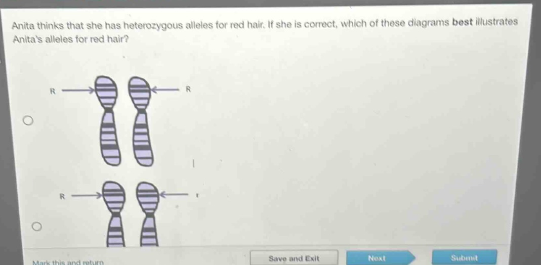 anita thinks that she has heterozygous alleles for red hair. if she is correct, which of these diagrams best illustrates anitas alleles for red hair?