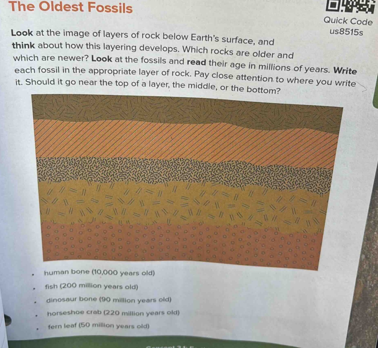 the oldest fossils look at the image of layers of rock below earth’s surface, and think about how this layering develops. which rocks are older and which are newer? look at the fossils and read their age in millions of years. write each fossil in the appropriate layer of rock. pay close attention to where you write it. should it go near the top of a layer, the middle, or the bottom? human bone (10,000 years old) fish (200 million years old) dinosaur bone (90 million years old) horseshoe crab (220 million years old) fern leaf (50 million years old)