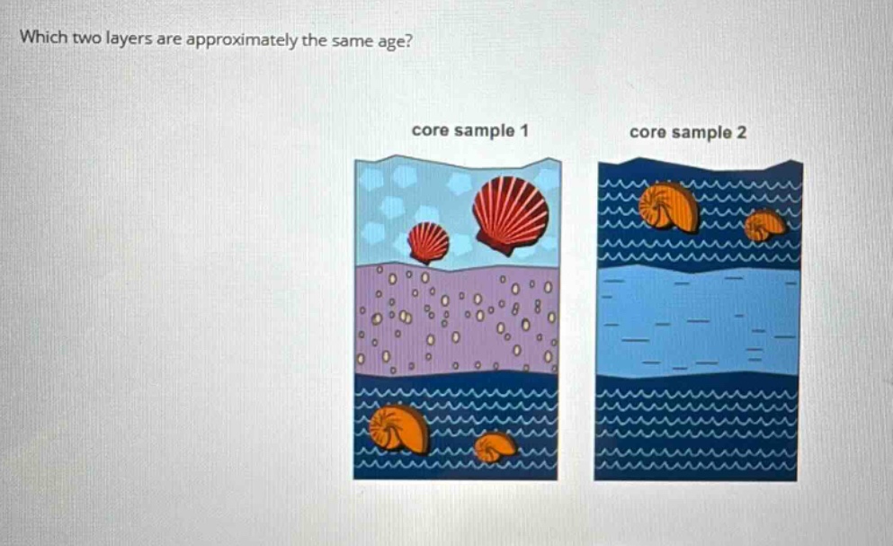 which two layers are approximately the same age? core sample 1 core sample 2