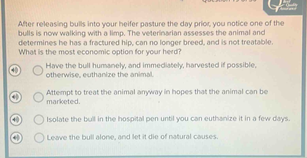after releasing bulls into your heifer pasture the day prior, you notice one of the bulls is now walking with a limp. the veterinarian assesses the animal and determines he has a fractured hip, can no longer breed, and is not treatable. what is the most economic option for your herd? have the bull humanely, and immediately, harvested if possible, otherwise, euthanize the animal. attempt to treat the animal anyway in hopes that the animal can be marketed. isolate the bull in the hospital pen until you can euthanize it in a few days. leave the bull alone, and let it die of natural causes.