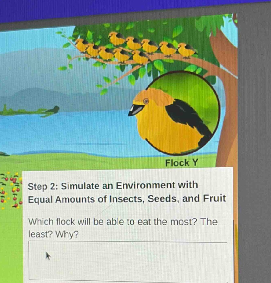 step 2: simulate an environment with equal amounts of insects, seeds, and fruit\nwhich flock will be able to eat the most? the least? why?