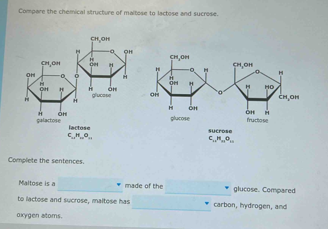 compare the chemical structure of maltose to lactose and sucrose. complete the sentences. maltose is a made of the glucose. compared to lactose and sucrose, maltose has carbon, hydrogen, and oxygen atoms.