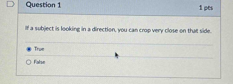 question 1 1 pts if a subject is looking in a direction, you can crop very close on that side. true false