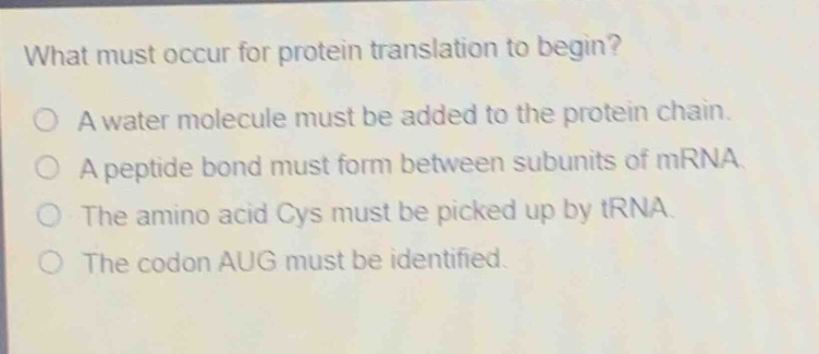 what must occur for protein translation to begin?\no a water molecule must be added to the protein chain.\no a peptide bond must form between subunits of mrna.\no the amino acid cys must be picked up by trna.\no the codon aug must be identified.