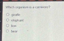 which organism is a carnivore?\n giraffe\n elephant\n lion\n bear