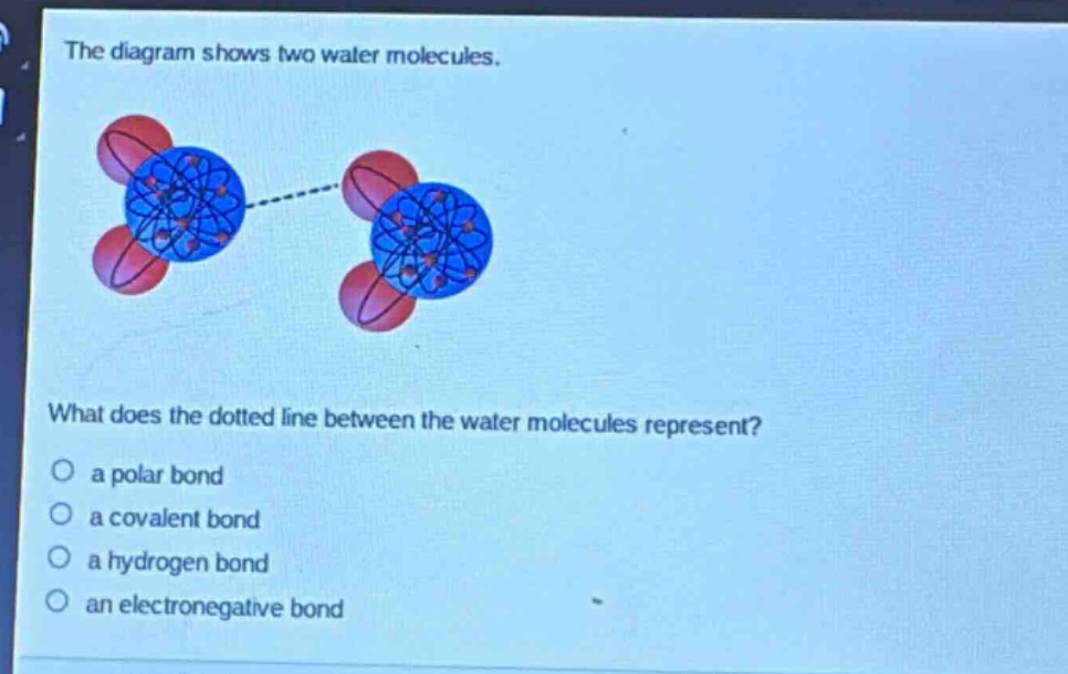 the diagram shows two water molecules. what does the dotted line between the water molecules represent? a polar bond a covalent bond a hydrogen bond an electronegative bond
