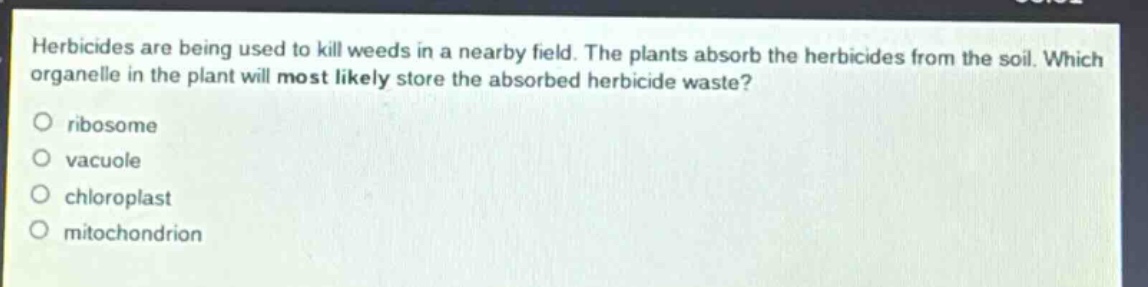 herbicides are being used to kill weeds in a nearby field. the plants absorb the herbicides from the soil. which organelle in the plant will most likely store the absorbed herbicide waste?\nribosome\nvacuole\nchloroplast\nmitochondrion