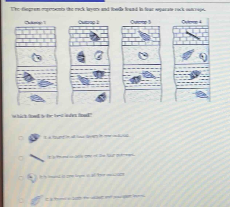 the diagram represents the rock layers and fossils found in four separate rock outcrops. which fossil is the best index fossil? it is found in all four layers in one outcrop. it is found in only one of the four outcrops. it is found in one layer in all four outcrops. it is found in both the oldest and youngest layers.