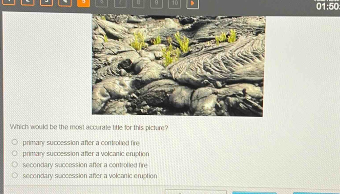 which would be the most accurate title for this picture?\nprimary succession after a controlled fire\nprimary succession after a volcanic eruption\nsecondary succession after a controlled fire\nsecondary succession after a volcanic eruption
