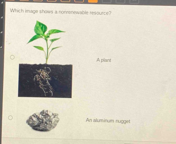 which image shows a nonrenewable resource? a plant an aluminum nugget