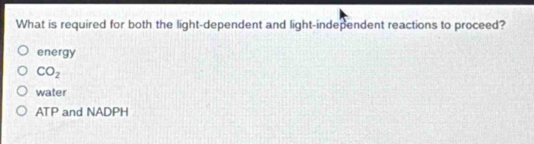 what is required for both the light - dependent and light - independent reactions to proceed?\no energy\no co₂\no water\no atp and nadph