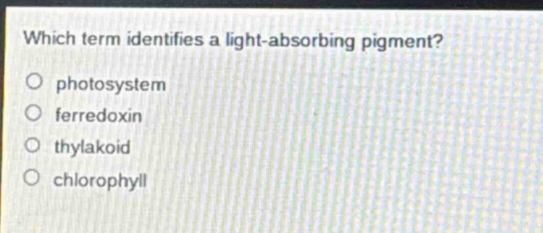 which term identifies a light - absorbing pigment?\no photosystem\no ferredoxin\no thylakoid\no chlorophyll