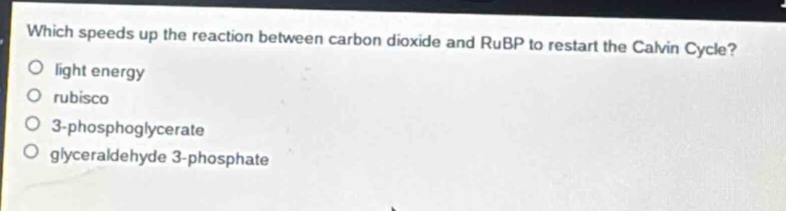 which speeds up the reaction between carbon dioxide and rubp to restart the calvin cycle?\nlight energy\nrubisco\n3 - phosphoglycerate\nglyceraldehyde 3 - phosphate