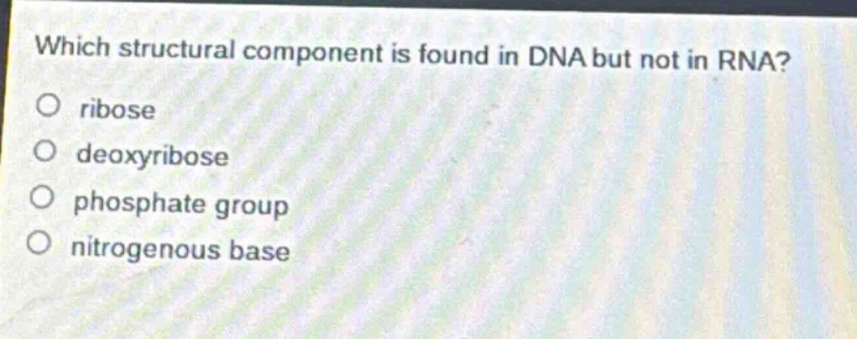which structural component is found in dna but not in rna?\no ribose\no deoxyribose\no phosphate group\no nitrogenous base