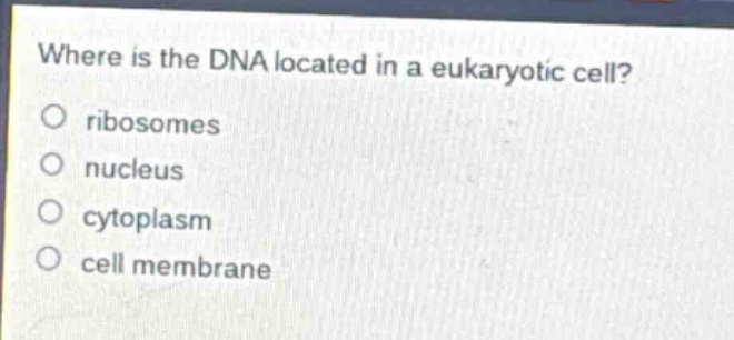 where is the dna located in a eukaryotic cell?\no ribosomes\no nucleus\no cytoplasm\no cell membrane
