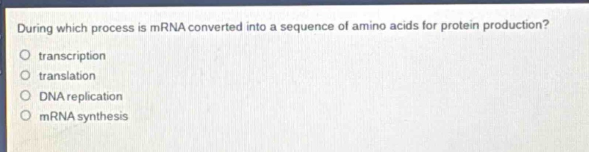 during which process is mrna converted into a sequence of amino acids for protein production?\no transcription\no translation\no dna replication\no mrna synthesis
