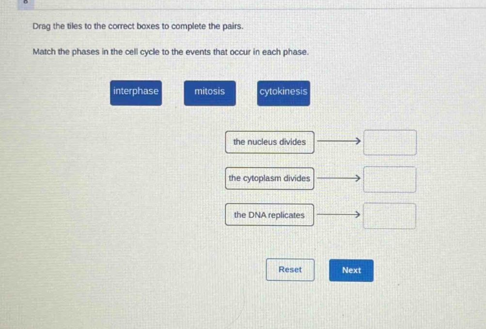 drag the tiles to the correct boxes to complete the pairs. match the phases in the cell cycle to the events that occur in each phase. interphase mitosis cytokinesis the nucleus divides the cytoplasm divides the dna replicates reset next