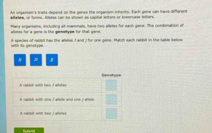 an organisms traits depend on the genes the organism inherits. each gene can have different alleles, or forms. alleles can be shown as capital letters or lowercase letters. many organisms, including all mammals, have two alleles for each gene. the combination of alleles for a gene is the genotype for that gene. a species of rabbit has the alleles j and j for one gene. match each rabbit in the table below with its genotype. jj jj jj genotype a rabbit with two j alleles a rabbit with one j allele and one j allele a rabbit with two j alleles