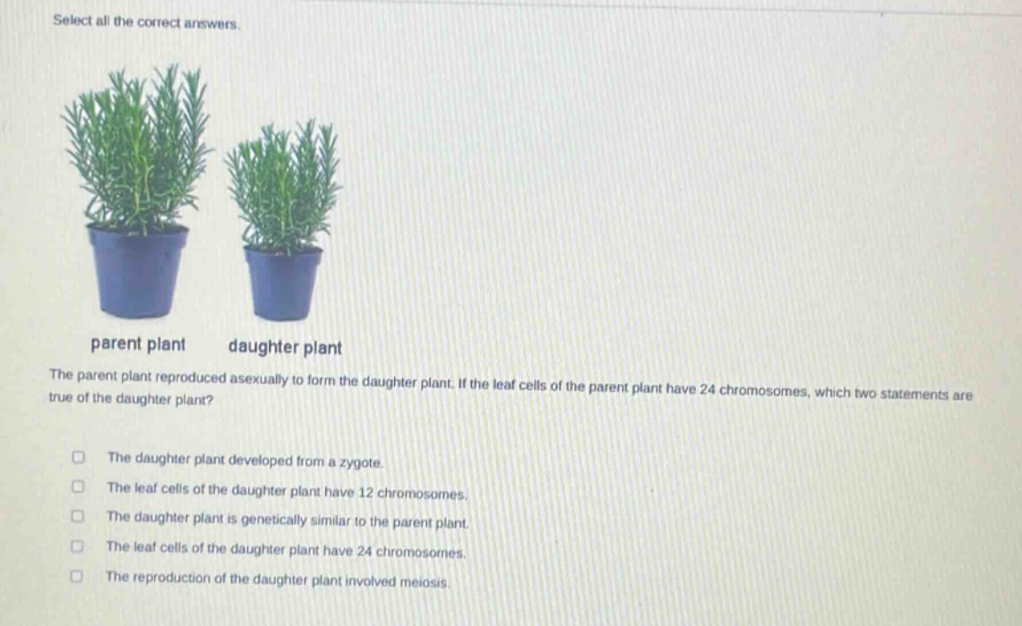 select all the correct answers. parent plant daughter plant the parent plant reproduced asexually to form the daughter plant. if the leaf cells of the parent plant have 24 chromosomes, which two statements are true of the daughter plant? the daughter plant developed from a zygote. the leaf cells of the daughter plant have 12 chromosomes. the daughter plant is genetically similar to the parent plant. the leaf cells of the daughter plant have 24 chromosomes. the reproduction of the daughter plant involved meiosis.