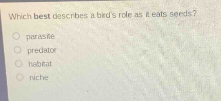 which best describes a birds role as it eats seeds?\nparasite\npredator\nhabitat\nniche