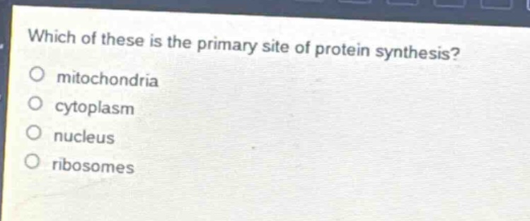 which of these is the primary site of protein synthesis?\no mitochondria\no cytoplasm\no nucleus\no ribosomes
