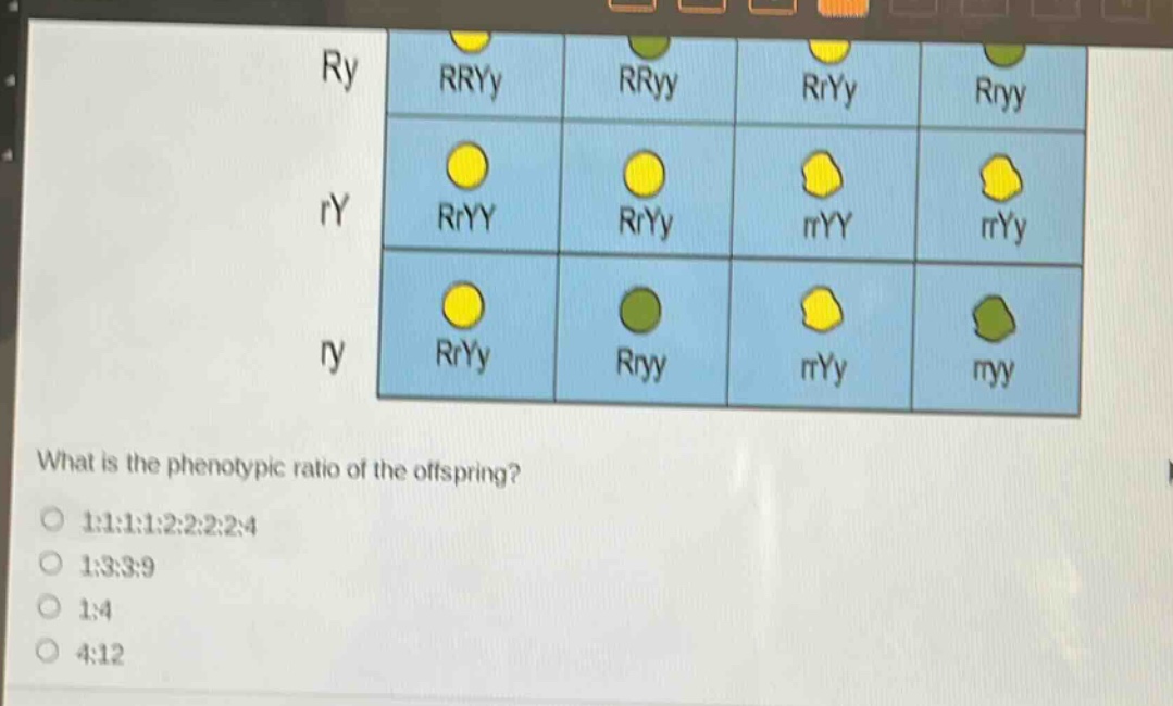 what is the phenotypic ratio of the offspring?\n1:1:1:1:2:2:2:2:4\n1:3:3:9\n1:4\n4:12