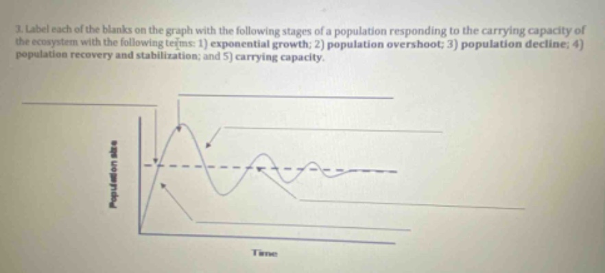 3. label each of the blanks on the graph with the following stages of a population responding to the carrying capacity of the ecosystem with the following terms: 1) exponential growth; 2) population overshoot; 3) population decline; 4) population recovery and stabilization; and 5) carrying capacity.