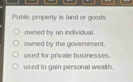 public property is land or goods\nowned by an individual.\nowned by the government.\nused for private businesses.\nused to gain personal wealth.