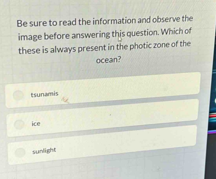 be sure to read the information and observe the image before answering this question. which of these is always present in the photic zone of the ocean?\ntsunamis\nice\nsunlight