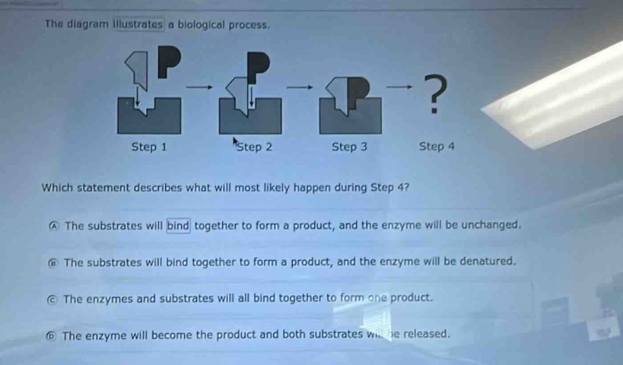 the diagram illustrates a biological process.\nwhich statement describes what will most likely happen during step 4?\na the substrates will bind together to form a product, and the enzyme will be unchanged.\nb the substrates will bind together to form a product, and the enzyme will be denatured.\nc the enzymes and substrates will all bind together to form one product.\nd the enzyme will become the product and both substrates will be released.