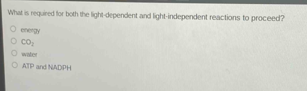 what is required for both the light - dependent and light - independent reactions to proceed?\nenergy\nco₂\nwater\natp and nadph