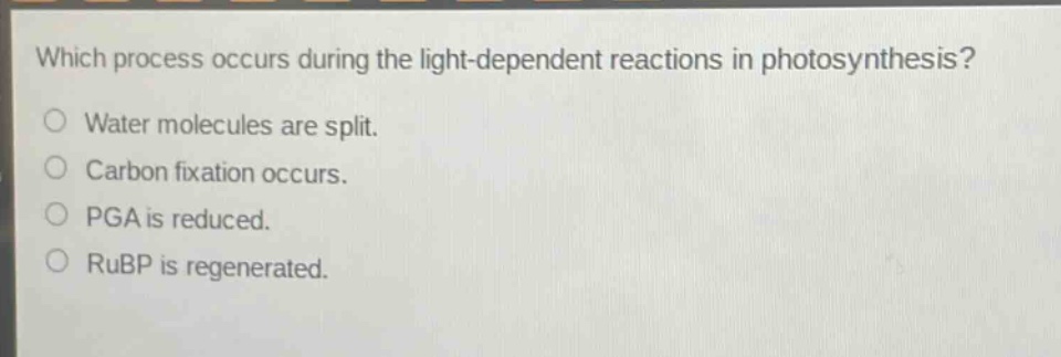 which process occurs during the light - dependent reactions in photosynthesis?\nwater molecules are split.\ncarbon fixation occurs.\npga is reduced.\nrubp is regenerated.