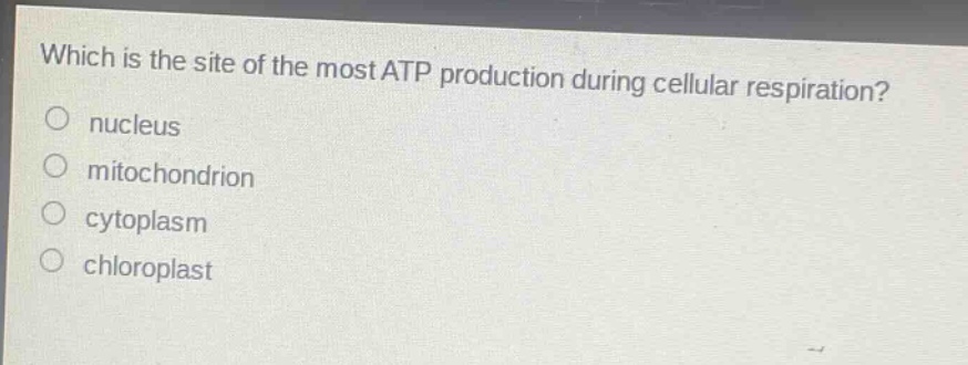 which is the site of the most atp production during cellular respiration?\no nucleus\no mitochondrion\no cytoplasm\no chloroplast