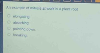 an example of mitosis at work is a plant root\nelongating.\nabsorbing.\npointing down.\nbreaking.