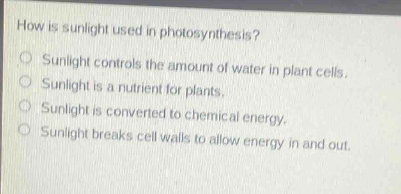 how is sunlight used in photosynthesis?\nsunlight controls the amount of water in plant cells.\nsunlight is a nutrient for plants.\nsunlight is converted to chemical energy.\nsunlight breaks cell walls to allow energy in and out.