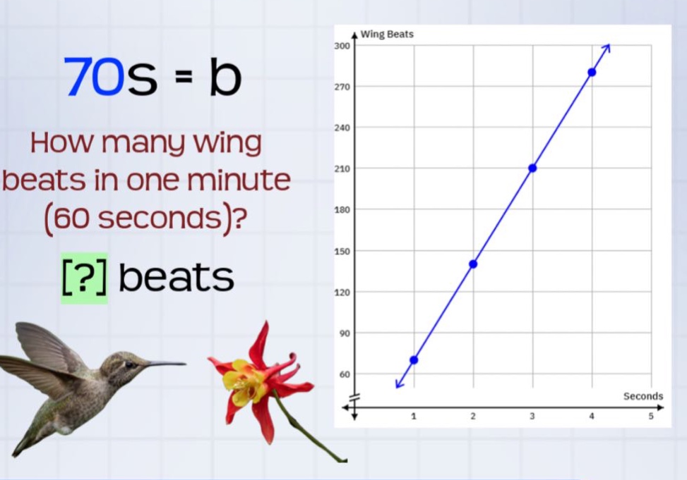 70s = b\nhow many wing beats in one minute (60 seconds)?\n? beats