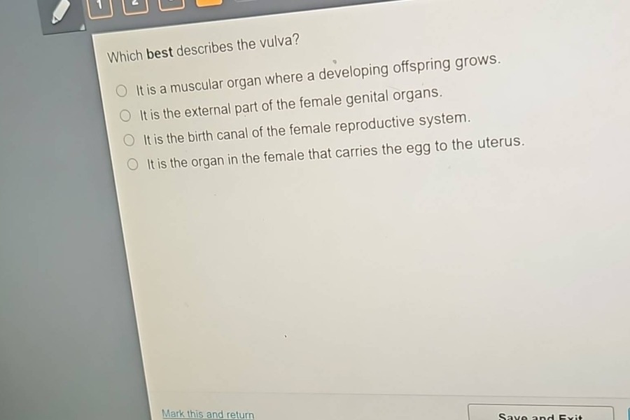 which best describes the vulva?\nit is a muscular organ where a developing offspring grows.\nit is the external part of the female genital organs.\nit is the birth canal of the female reproductive system.\nit is the organ in the female that carries the egg to the uterus.