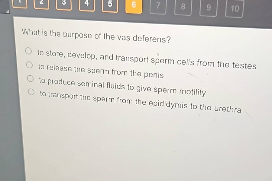 what is the purpose of the vas deferens?\n to store, develop, and transport sperm cells from the testes\n to release the sperm from the penis\n to produce seminal fluids to give sperm motility\n to transport the sperm from the epididymis to the urethra