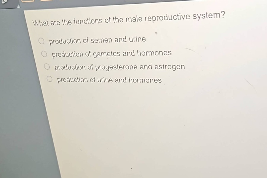 what are the functions of the male reproductive system?\nproduction of semen and urine\nproduction of gametes and hormones\nproduction of progesterone and estrogen\nproduction of urine and hormones