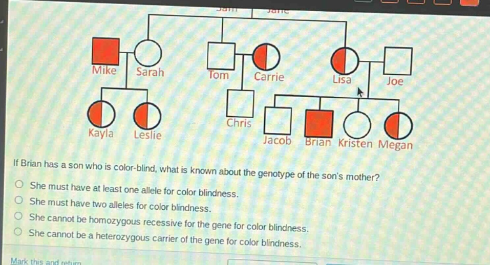 if brian has a son who is color - blind, what is known about the genotype of the sons mother?\nshe must have at least one allele for color blindness.\nshe must have two alleles for color blindness.\nshe cannot be homozygous recessive for the gene for color blindness.\nshe cannot be a heterozygous carrier of the gene for color blindness.