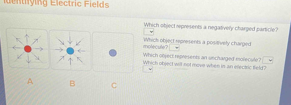 identifying electric fields\nwhich object represents a negatively charged particle?\nwhich object represents a positively charged molecule?\nwhich object represents an uncharged molecule?\nwhich object will not move when in an electric field?