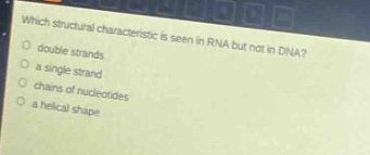which structural characteristic is seen in rna but not in dna?\ndouble strands\na single strand\nchains of nucleotides\na helical shape