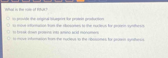 what is the role of rna?\n- to provide the original blueprint for protein production\n- to move information from the ribosomes to the nucleus for protein synthesis\n- to break down proteins into amino - acid monomers\n- to move information from the nucleus to the ribosomes for protein synthesis