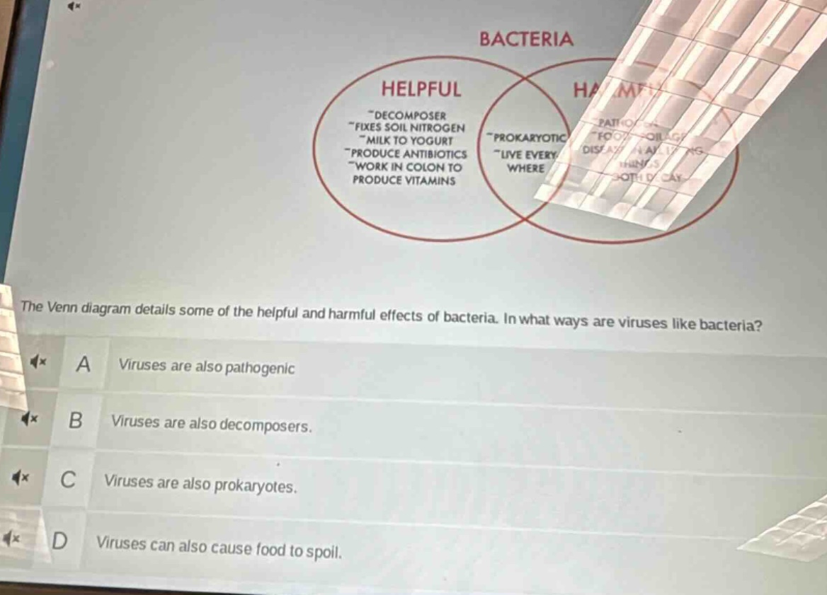 the venn diagram details some of the helpful and harmful effects of bacteria. in what ways are viruses like bacteria? a viruses are also pathogenic b viruses are also decomposers. c viruses are also prokaryotes. d viruses can also cause food to spoil.