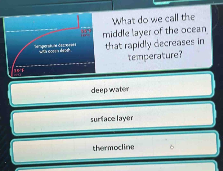 what do we call the middle layer of the ocean that rapidly decreases in temperature?\ndeep water\nsurface layer\nthermocline