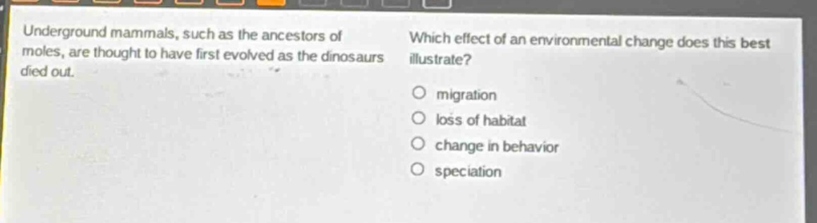 underground mammals, such as the ancestors of moles, are thought to have first evolved as the dinosaurs died out. which effect of an environmental change does this best illustrate? migration loss of habitat change in behavior speciation
